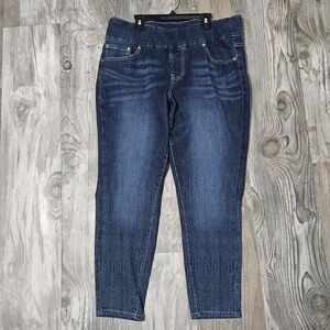 Jag Jean's pull on high rise size 16w